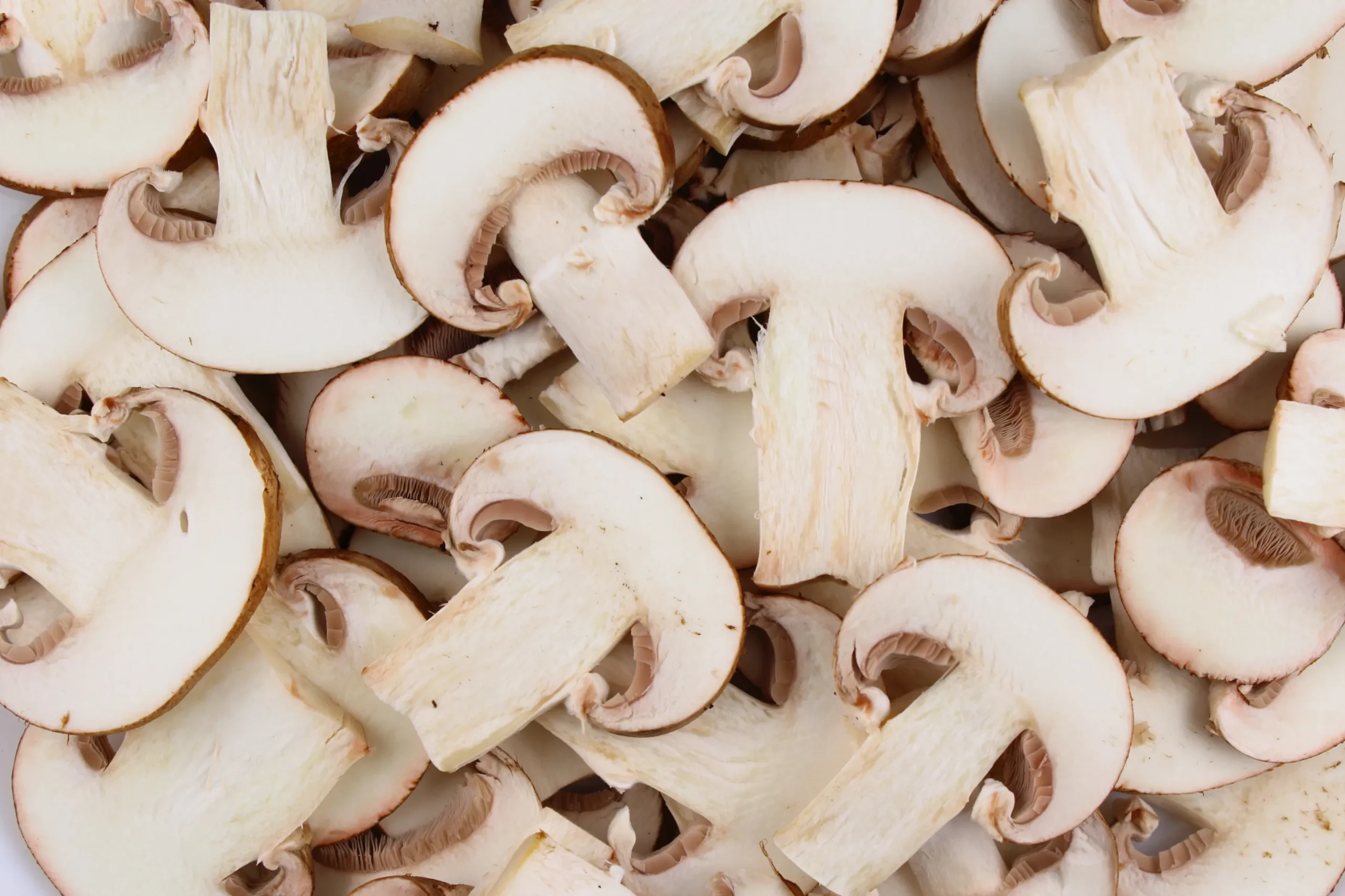 Champignons
